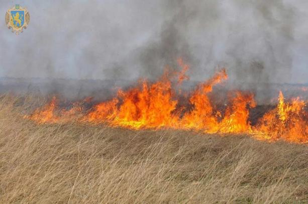 У лікарні Львова померло троє людей, які гасили підпалену траву