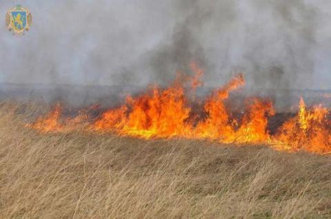 У лікарні Львова померло троє людей, які гасили підпалену траву