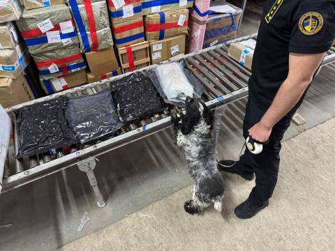 У Львові в посилках зі США виявили понад два кілограми наркотиків