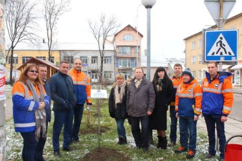 Миколаївцемент подарував «дерева миру» мешканцям Миколаєва