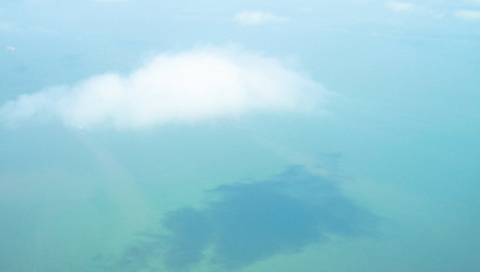 Погода на четвер: ясно, +14°C