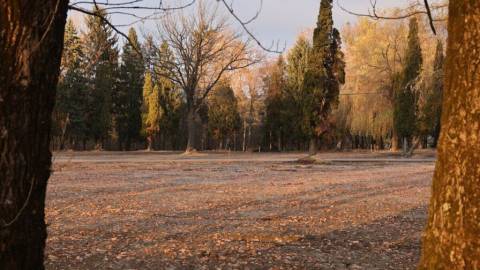 Депутати погодили облаштування нового місця для поховань захисників України у Львові