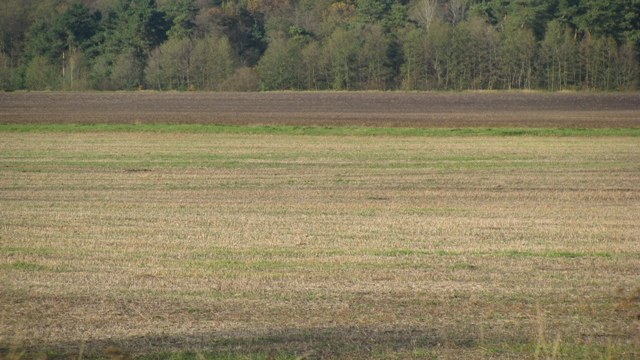 Львівські депутати попросили Садового приходити пізніше