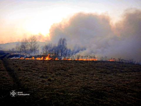 За добу на Львівщині зафіксували понад 70 пожеж сухостою