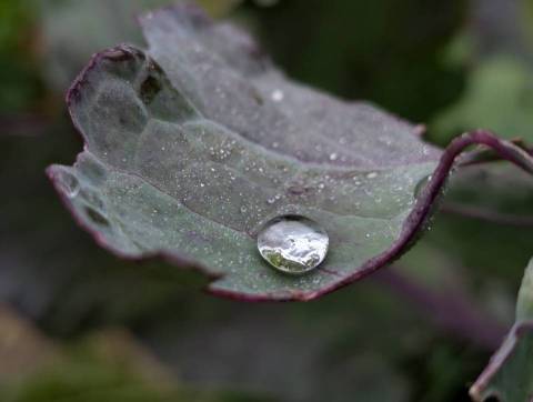 Курс валют у Львові на 23 березня