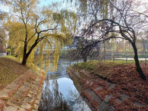 У Львові спустять воду у Піскових озерах