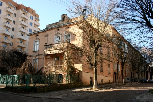 Будинок на вулиці Олени Степанівни, 31 виставили на аукціон