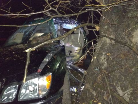 На Жидачівщині авто врізалося у дерево: є загиблі