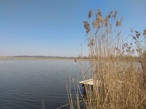 На Львівщині в озері втопився 18-річний юнак