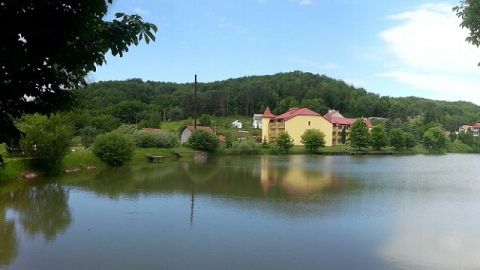 Чарівні озера податківців, що отруїли Білого орла, не мали одобрямсу