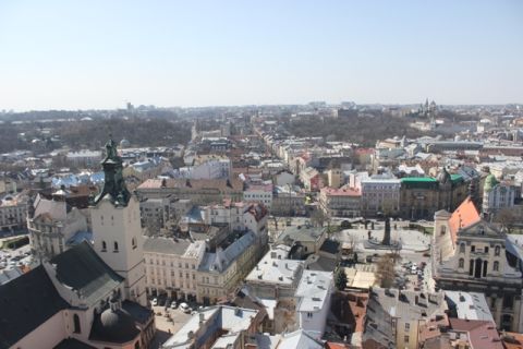У центрі Львова проведуть дератизацію через збільшення кількості гризунів