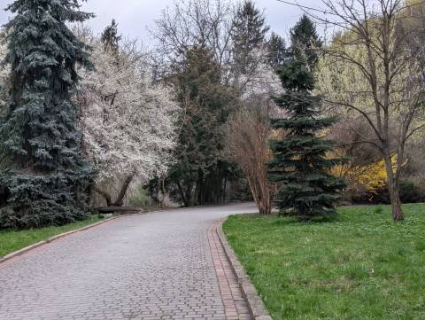 Погода на вихідні: +10-17°C