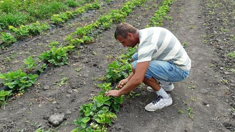 Кабмін підвищив матеріальну допомогу молодим спеціалістам у сільській місцевості