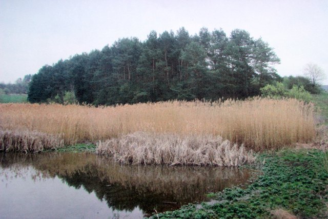 На Львівщині здали в оренду 6 земельних ділянок із водоймами