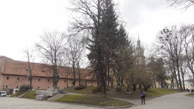 У Львові створили карту з висадки зелених насаджень