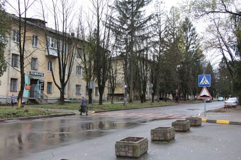 За минулий рік на дорогах Львівщини в ДТП загинули 20 дітей