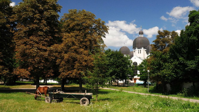 Бузькі башибузуки зламали ногу судді Самсіну