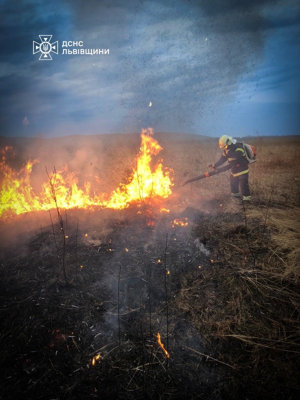 За добу на Львівщині зафіксували понад 30 пожеж сухостою