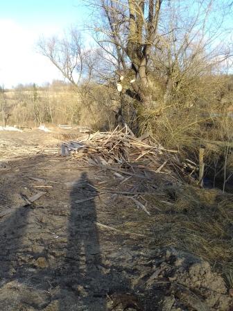 Голову сільради на Старосамбірщині притягнули до відповідальності через сміття