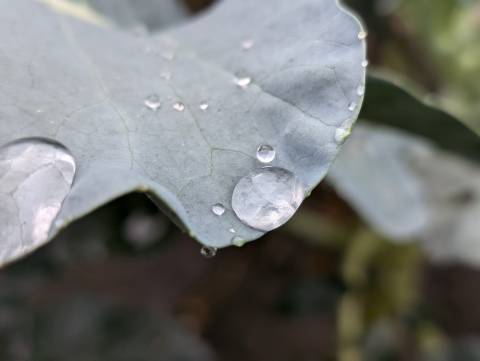 Погода на вівторок: дощ, +14°C