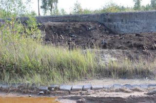 Негативні наслідки діяльності гірнічо-хімічних підприємств у Новому Роздолі