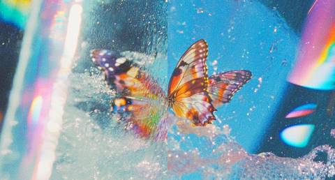 Погода на вівторок: дощ, +11°C