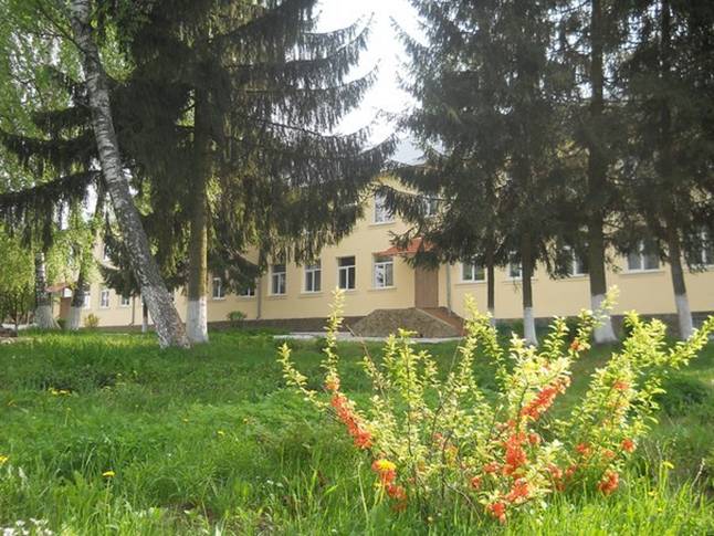 Бухгалтера, який присвоїв кошти реабілітаційного центру у Львові, засудили на три роки