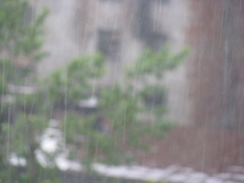 На Львівщині прогнозують дощі та град