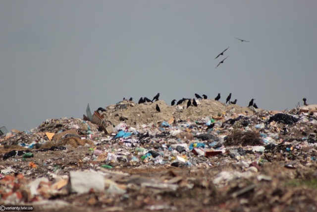Через львівське сміття мешканці села на Дрогобиччині вирішили закрити власне сміттєзвалище