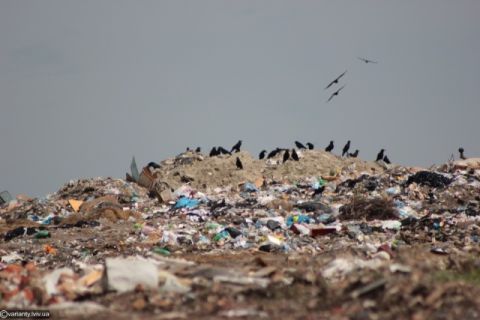 Голову Дублянської міськради притягнули до відповідальності через сміттєзвалище