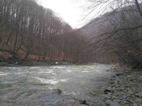 У шести річках Львівщини виявили високу концентрацію забруднюючих речовин