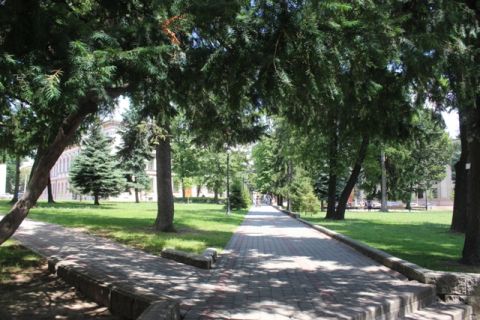 Міськрада передбачила 24 мільйони на утримання парків Львова