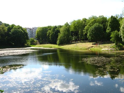 Львів'яни вимагають почистити від сміття Алтайські озера