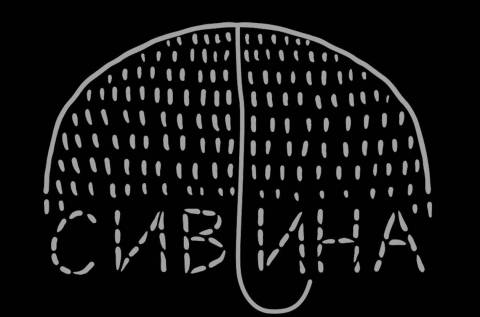 Сивина "Крихке" (2026)