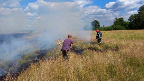 За добу на Львівщині зафіксували п'ять пожеж сухостою