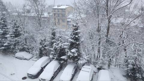 Ворог атакував Львівщину дронами: ППО знищила безпілотники, жертв немає