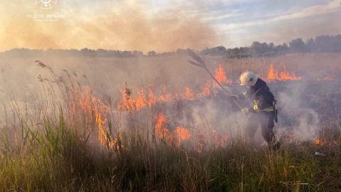 На Самбірщині горіли суха трава та чагарник