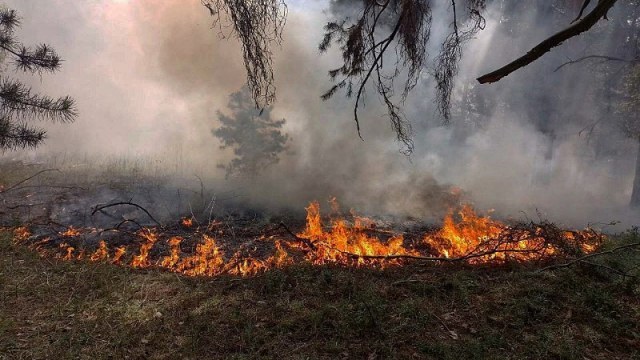 Генштаб ЗСУ оприлюднив втрати росіян на ранок 9 квітня