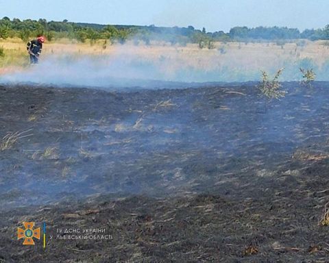 За добу на Львівщині зафіксували сім пожеж сухостою