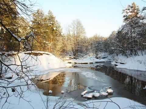 Погода на вівторок: +8 С°, без опадів