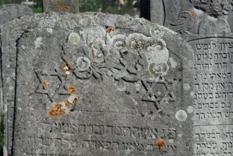 Єврейська громада намагається відновити єврейське кладовище у с. Соколівка Буського району