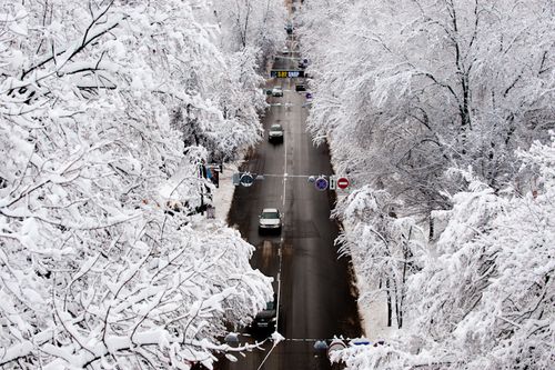 Найближчими днями в Україні похолодає на 5-8 градусів, – Укргідрометцентр