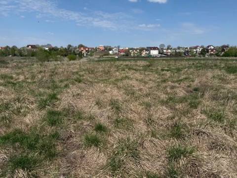 Низку земельних ділянок у Львівській громаді виставили на аукціон