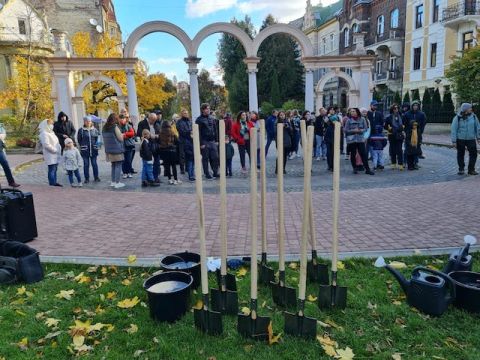 Перша акція висадки нових дерев відбулась у Стрийському парку