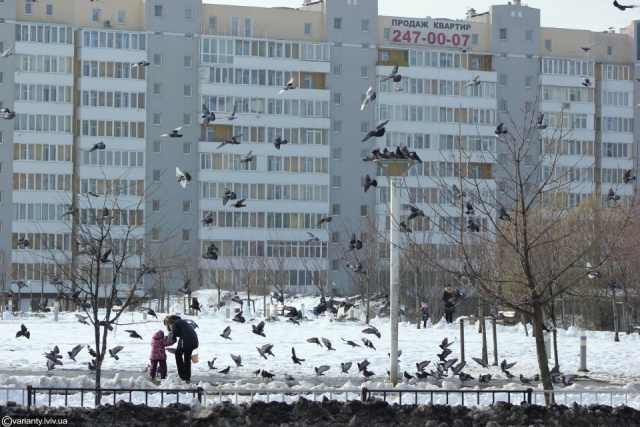 Міськрада Львова виділила силовикам сім квартир у Львові
