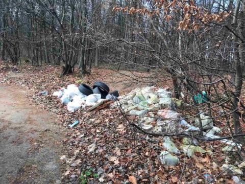 На Зеленій у Львові виявили звалище сміття, будвідходів і автомобільних шин