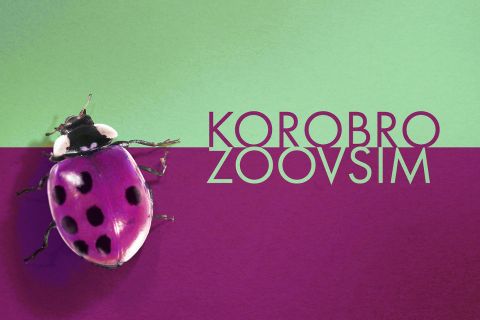 Korobro "Zoovsim" (2020)