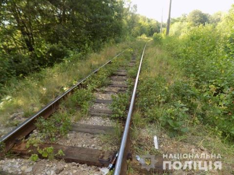 На Яворівщині поїзд травмував чоловіка, що заснув на колії