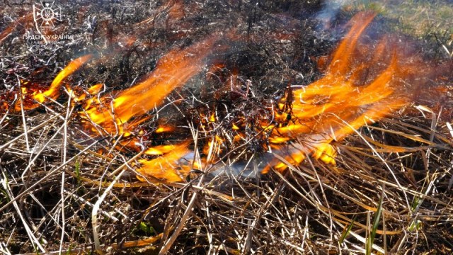 За добу на Львівщині зафіксували п'ять пожеж сухостою