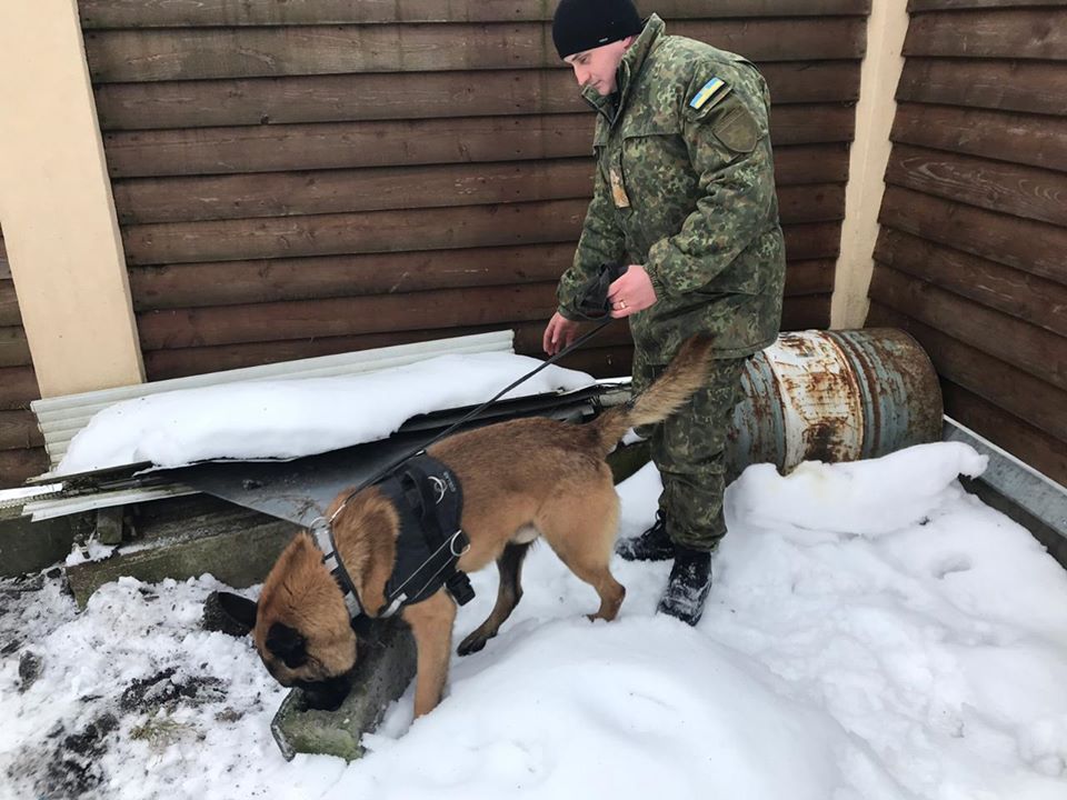 У 2019 році собаки-поліцейські допомогли розкрити 264 злочини на Львівщині